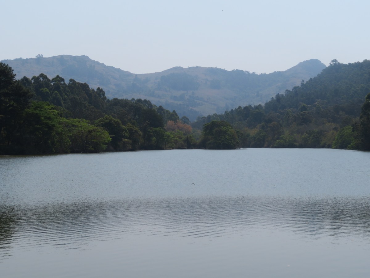 Switzerland or Swaziland ?