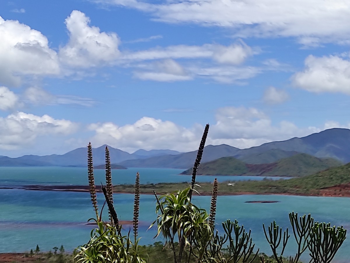 La malédiction du Grand Sud