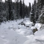 Fred, mon ami d&rsquo;enfance.