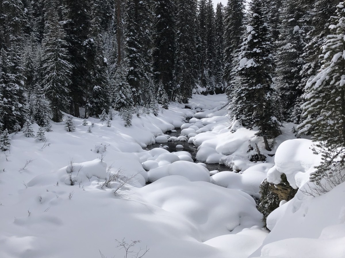 Fred, mon ami d&rsquo;enfance.