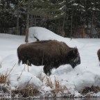 Pour la postérité…