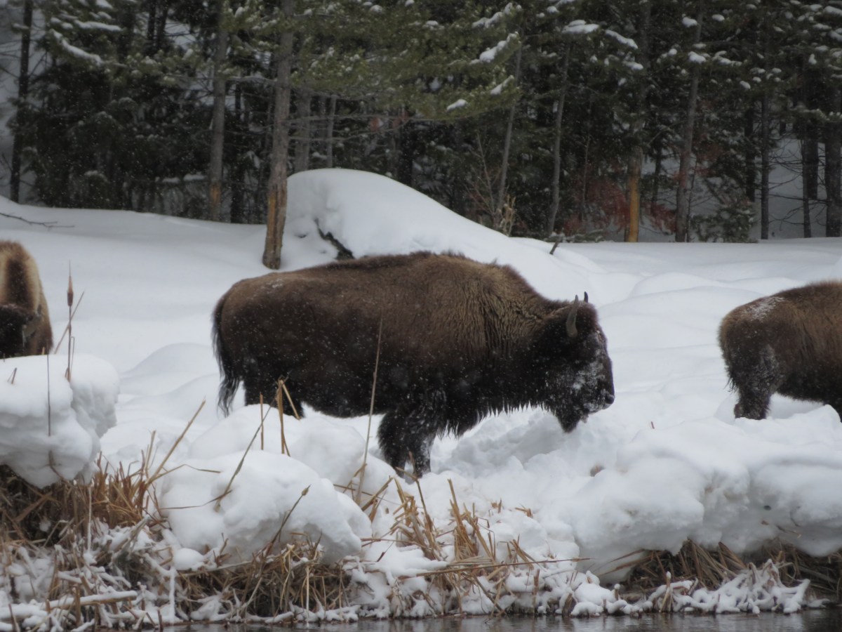 Pour la postérité…